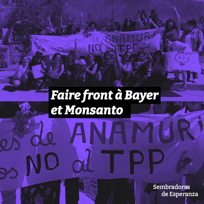 post des réseaux sociaux du film, on voit des militantes en bichromie violette et grise avec des banderoles, par-dessus, un texte : faire front à Bayer et Monsanto