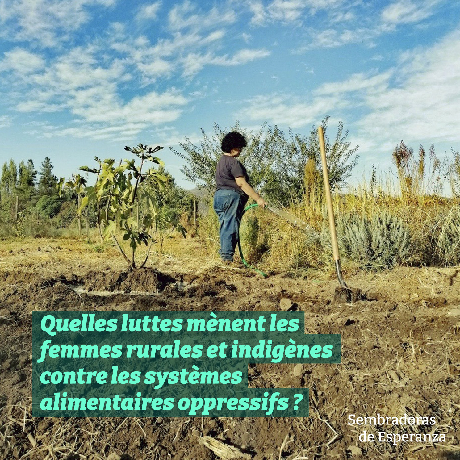 post des réseaux sociaux du film, on voit une femme qui arrose des cultures, par-dessus, un texte : Quelle lutte mènent les femmes rurales et indigènes contre les systèmes alimentaires oppressifs ?