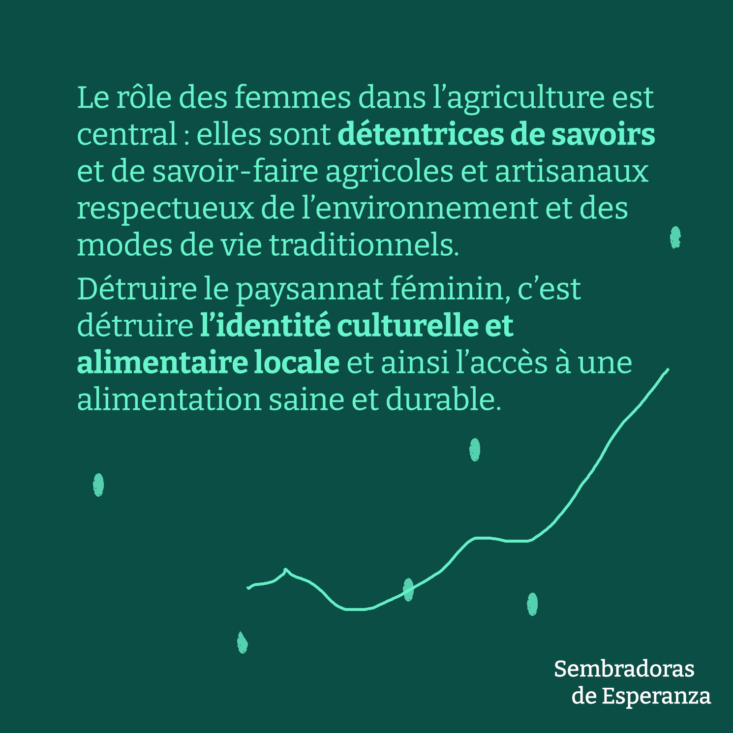 post des réseaux sociaux du film, on voit du texte vert clair sur un fond vert foncé : Le rôle des femmes dans l'agriculture est central : elles sont détentrices de savoirs et de savoir-faire agricoles et artisanaux respectueux de l'environnement et des modes de vie traditionnels. Détruire le paysannat féminin, c'est détruire l'identité culturelle et alimentaire locale et ainsi l'accès à une alimentation saine et durable. En bas à droite, il y a un dessin de vague avec des petites gouttes éparses.