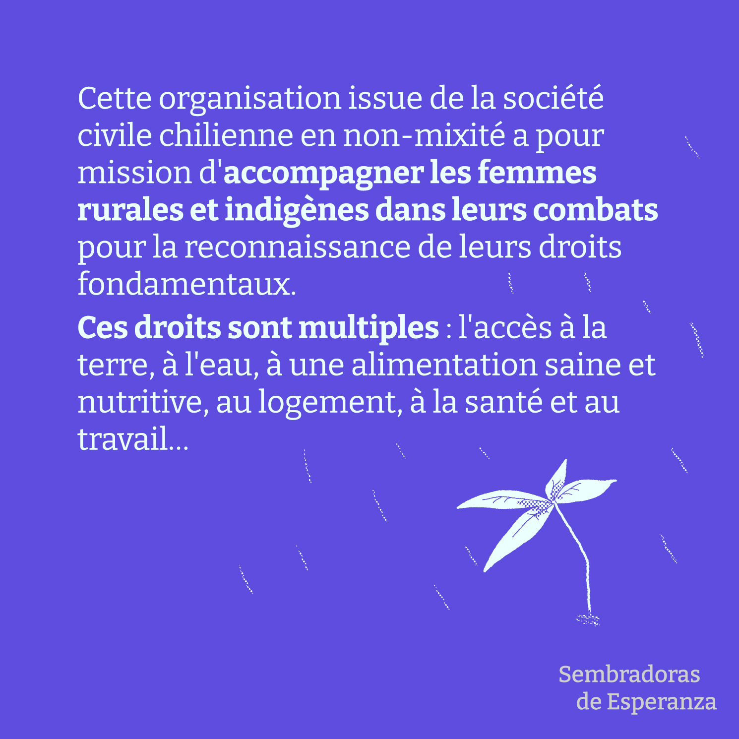 post des réseaux sociaux du film, du texte blanc sur fond violet : cette organisation issue de la société civile chilienne en non-mixité a pour mission d'accompagner les femmes rurales et indigènes dans leurs combats pour la reconnaissance de leurs droits fondamentaux. Ces droits sont multiples : l'accès à l'eau, à une alimentation saine et nutritive, au logement, à la santé et au travail... En bas à droite, un dessin blanc d'une pousse sous des gouttes d'eau.