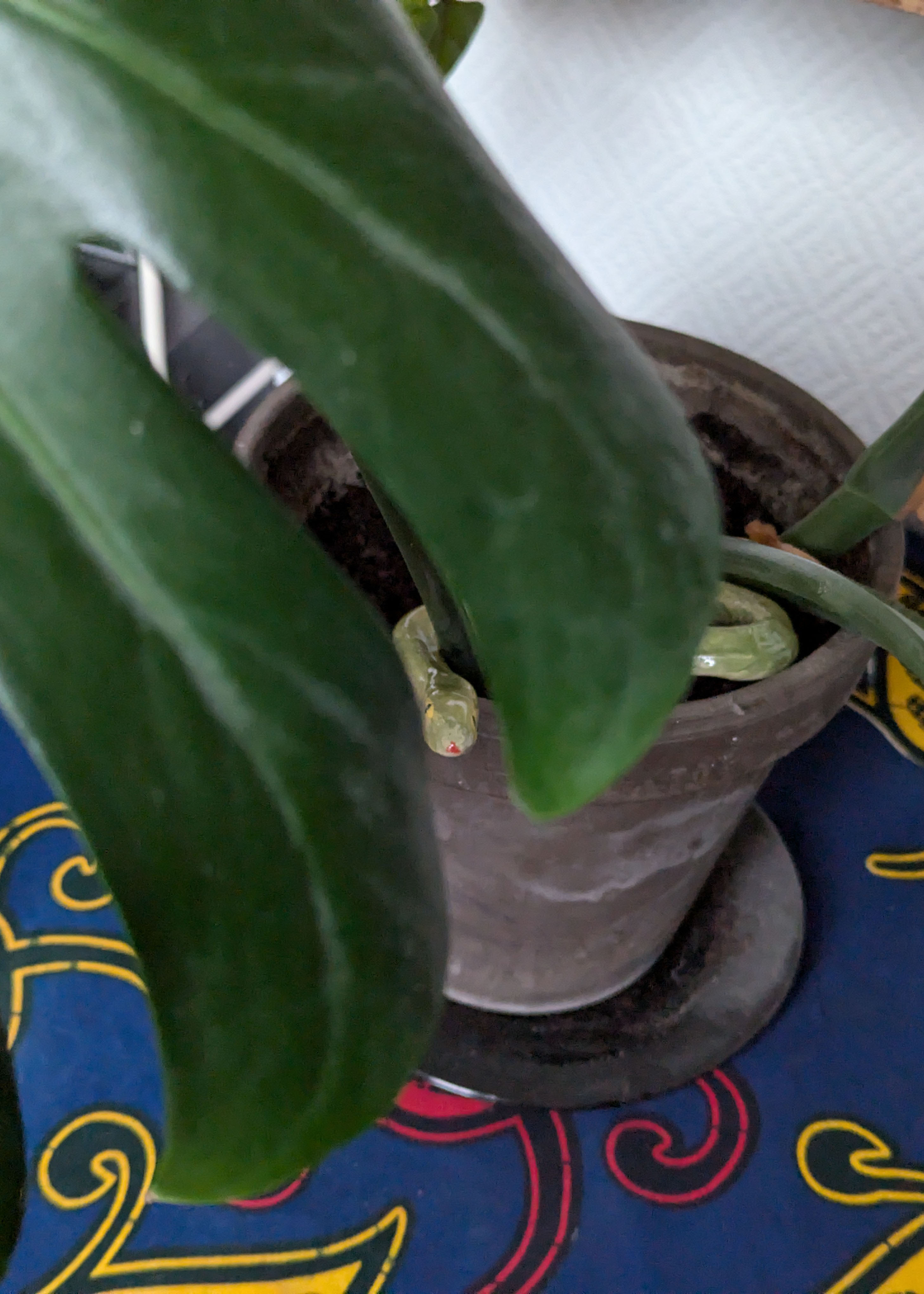 serpent en grès vert et jaune dans un philodendron